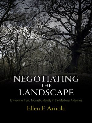 cover image of Negotiating the Landscape
